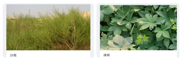 股票配资合作 立秋后进入过敏高发期，墨迹天气多维度“过敏防护服务”护航日常生活